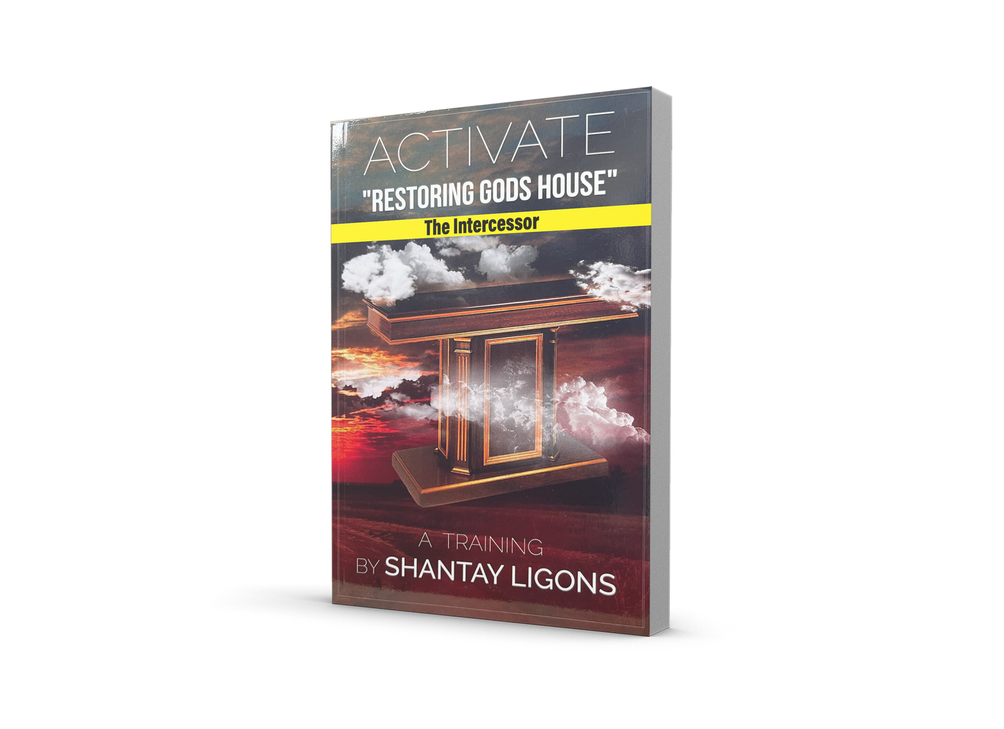 ACTIVATE 2: The Intercessor (E-Book)