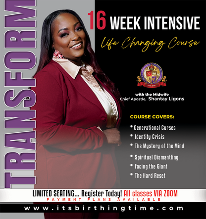 Transform : 16 Week Intensive