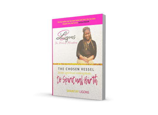 The Chosen Vessel (E-Book)